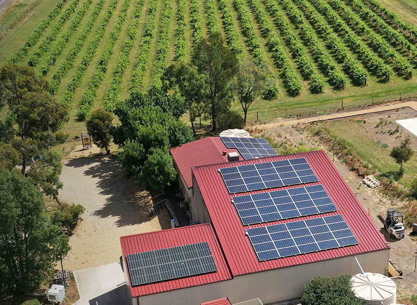 サステナビリティの取り組み