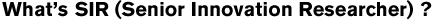 SIRとは